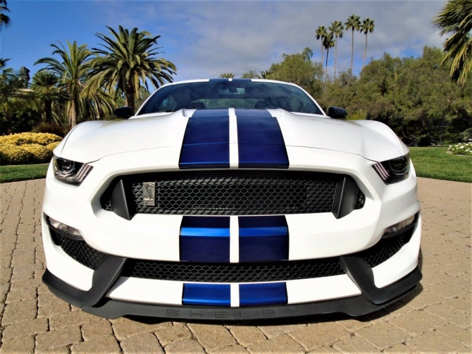 Mustang Shelby GT 350